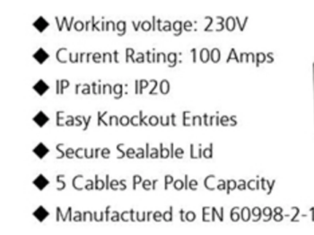 Live Electrical LCBD 100A Double Pole Connector Block 2